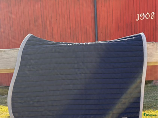 Träns hästutrustning till salu: Diverse märkesutrustning i Saltsjöbaden - Annons 2