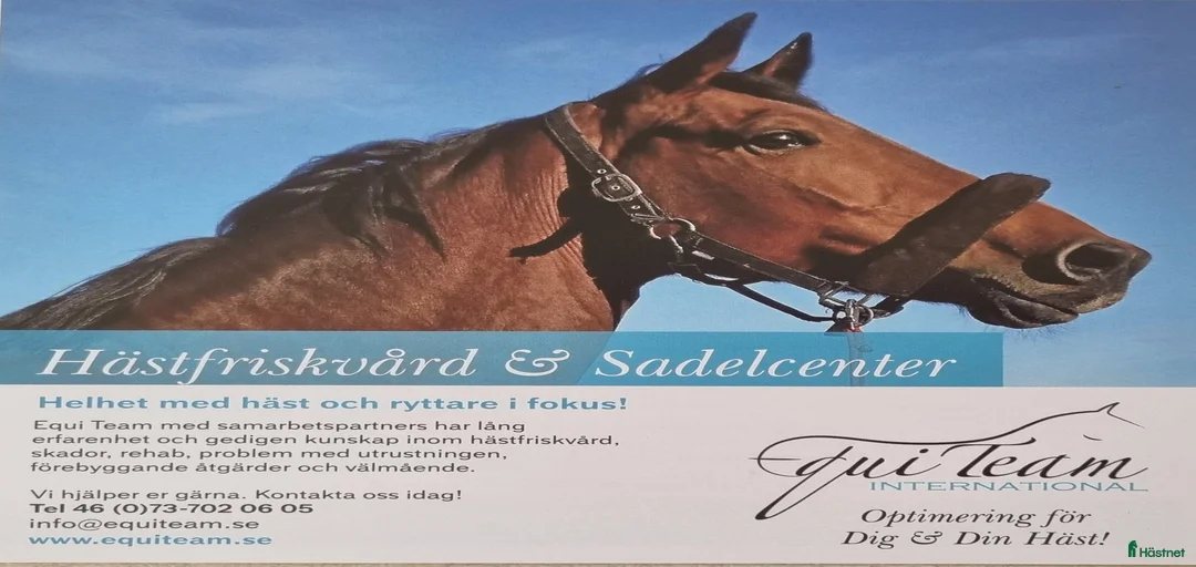 Galleribild {{count}}