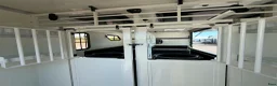 Hästlastbilar  fordon & transport till salu: Paragan Excelsion 5XL Stuteri Automat  - Annons 10
