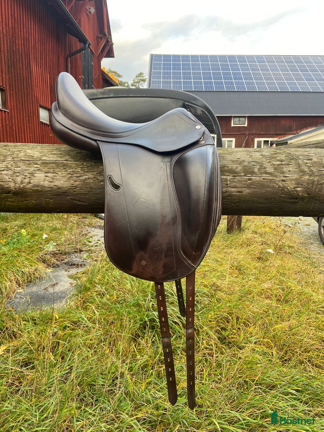 Sadlar hästutrustning till salu: Equipe Emporio  i Ekerö - Annons 3