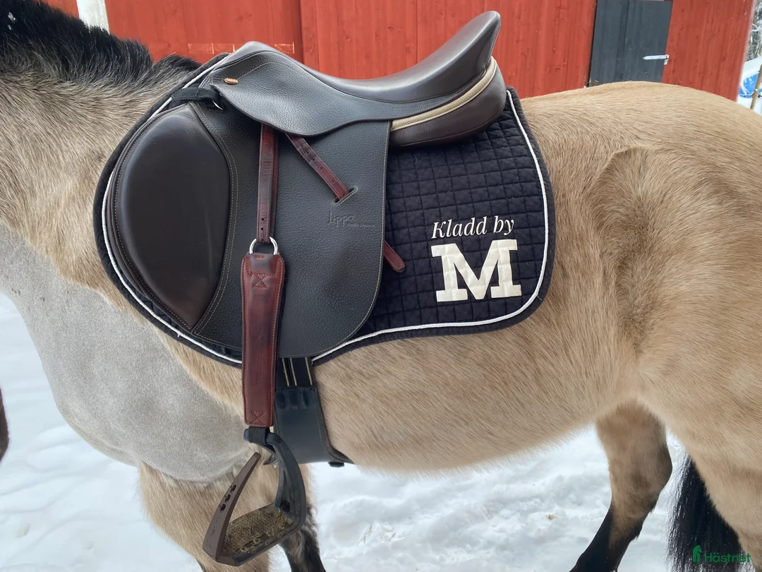 Sadeltillbehör hästutrustning till salu: Hoppschabrak, hoppgjord och ländtäcke  i Bottnaryd - Annons 8