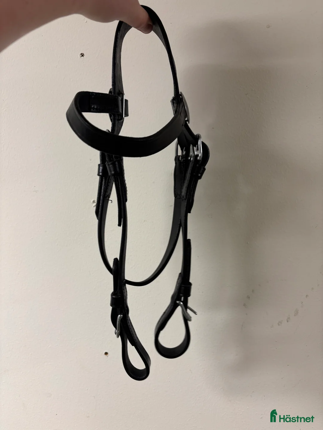 Körselar körning till salu: Loksele ponny i Njutånger - Annons 6