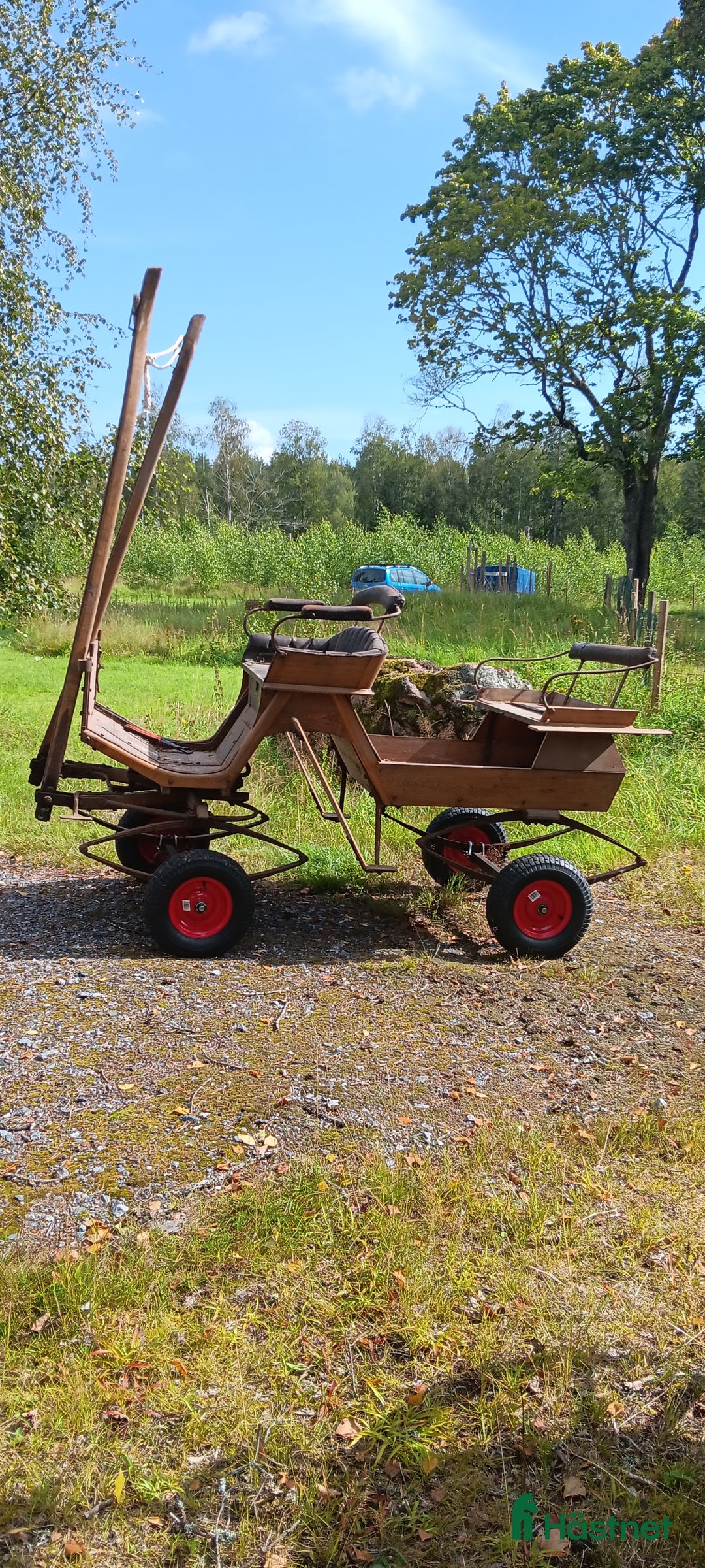 Allround hästar till salu: Välarbetad unghäst  i Östansjö - Annons 6