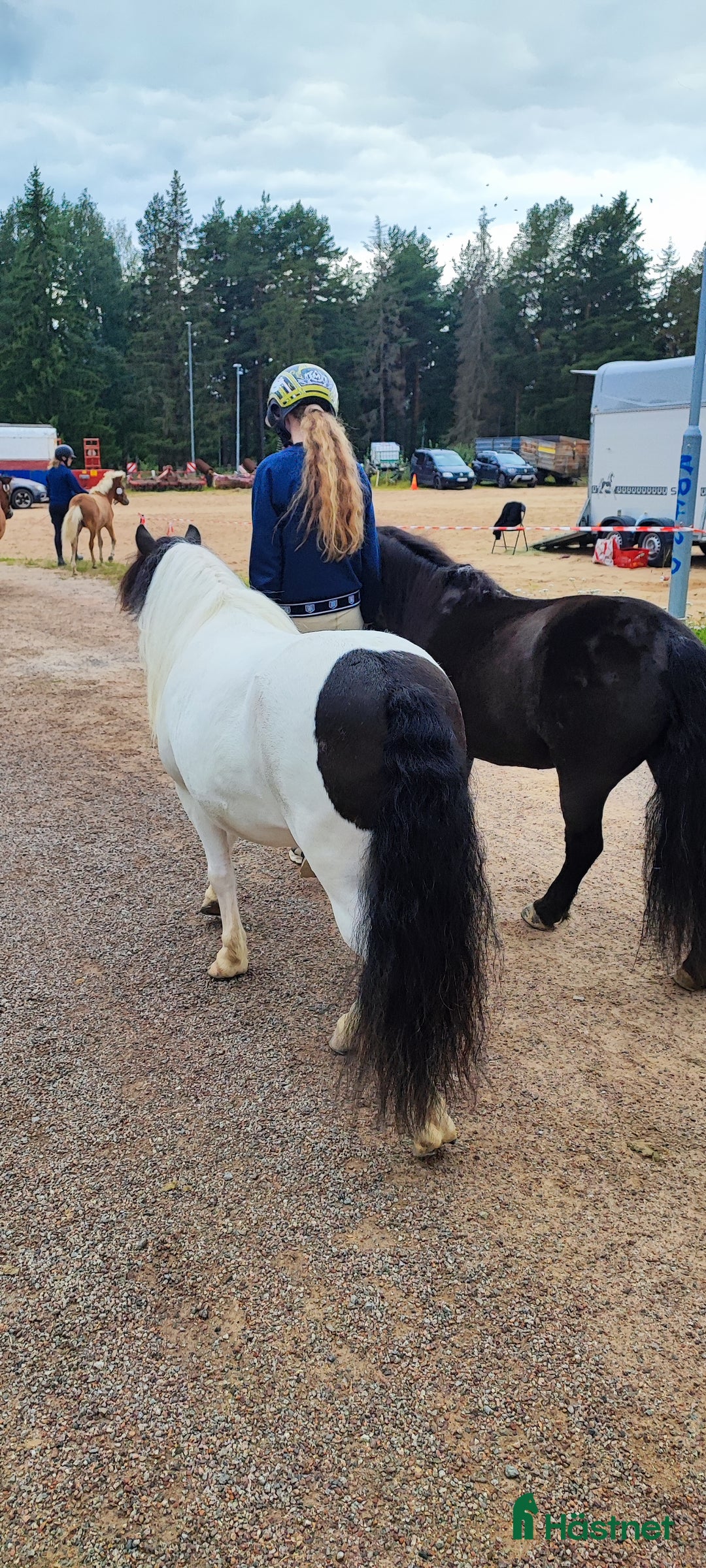 Trav hästar till salu: Fin ponnytravare som syns i mängden  i Falun - Annons 7