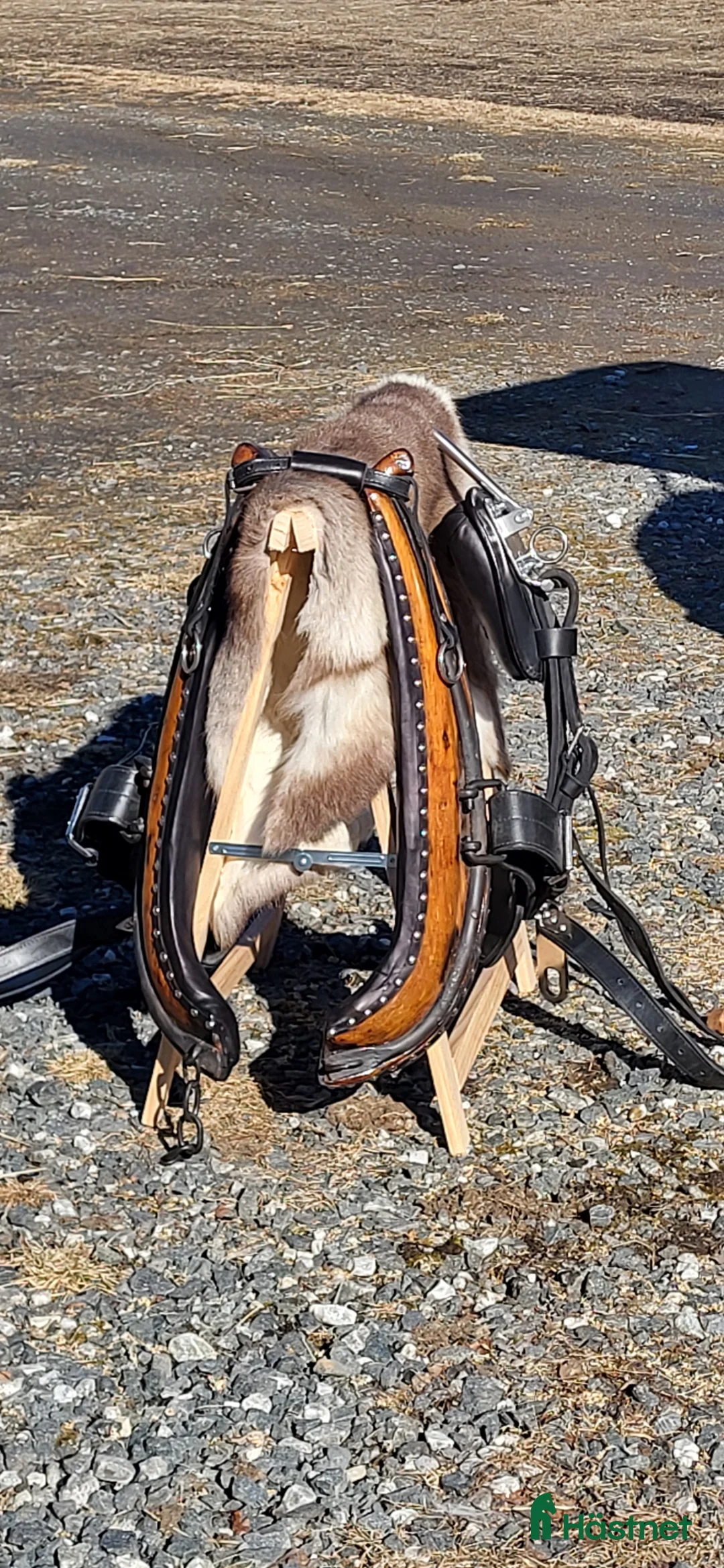 Övrig Hästutrustning hästutrustning till salu: Fin sele - Annons 2