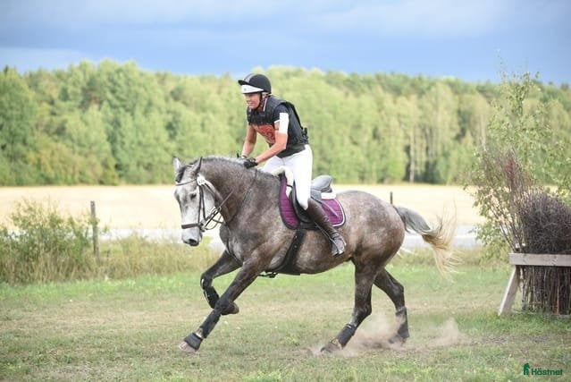  hästservice Vidare utbildning  i Uppsala - Annons 12