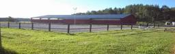  stallplats finnes: Lösdrift för lättfödda - Annons 2