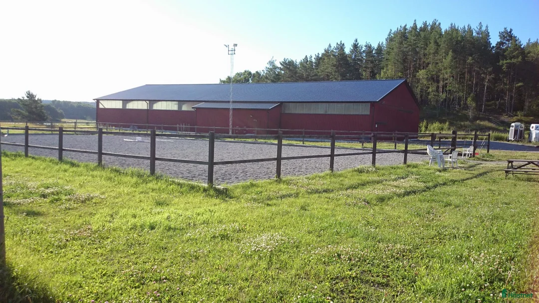  stallplats finnes: Lösdrift för lättfödda - Annons 2