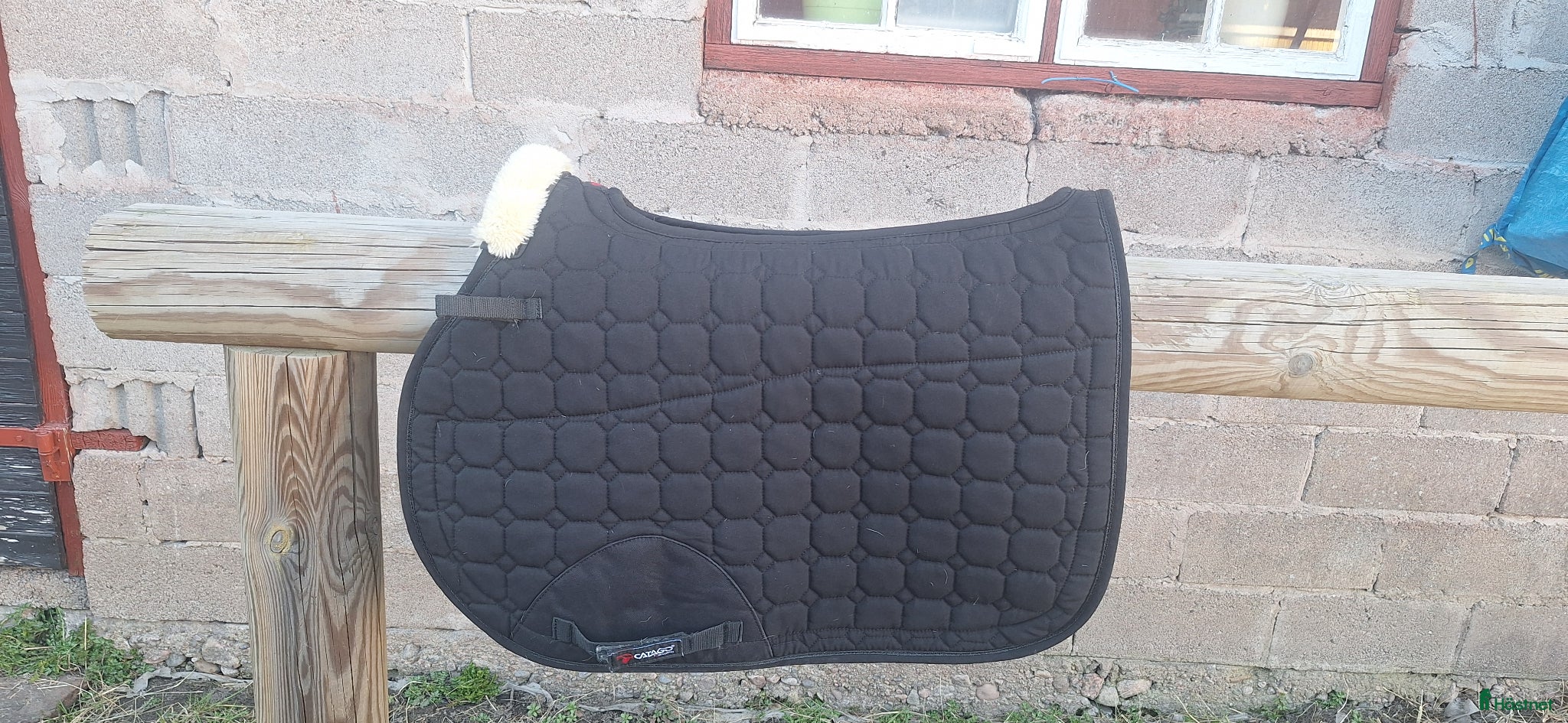 Schabrak & Vojlockar hästutrustning Catago Equestrian schabrak  - Annons 12