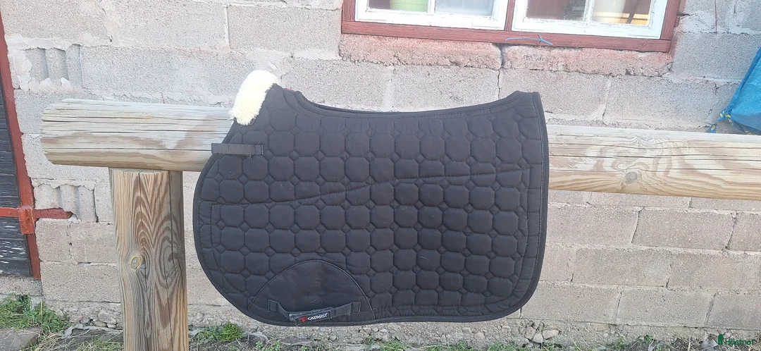 Schabrak & Vojlockar hästutrustning till salu: Catago Equestrian schabrak  - Annons 1