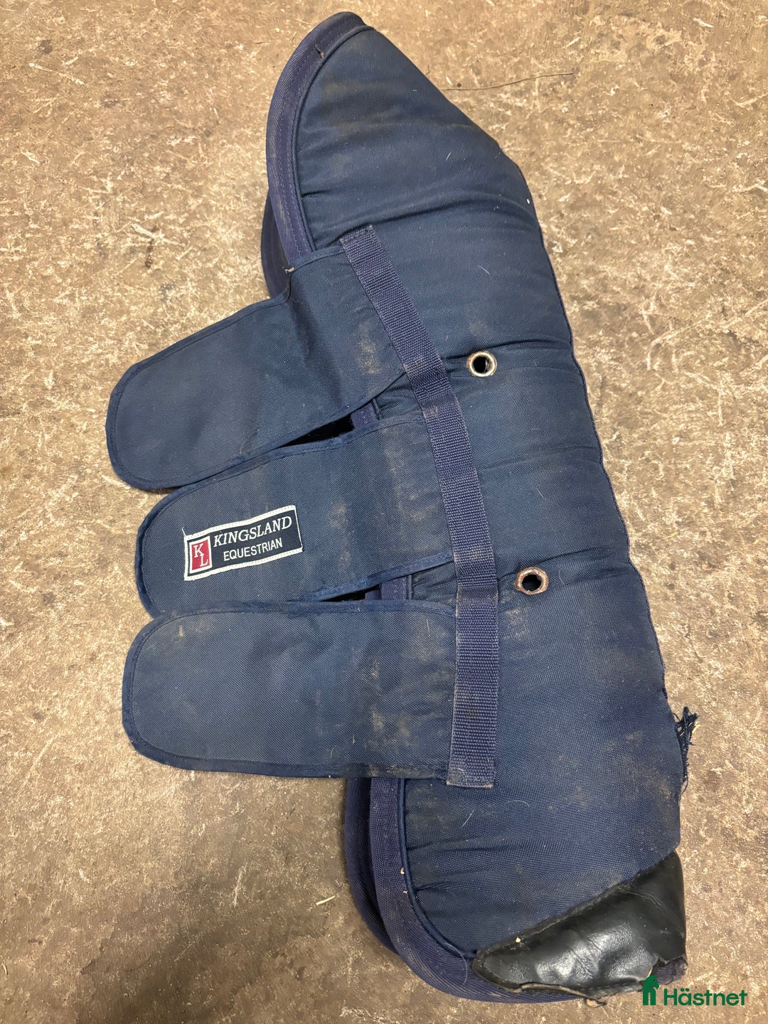 Benskydd hästutrustning till salu: Kingsland transportskydd  i Vinninga - Annons 18