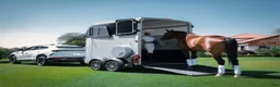 Hästtransporter  fordon & transport till salu: Ifor Williams HBX 506 - Annons 8