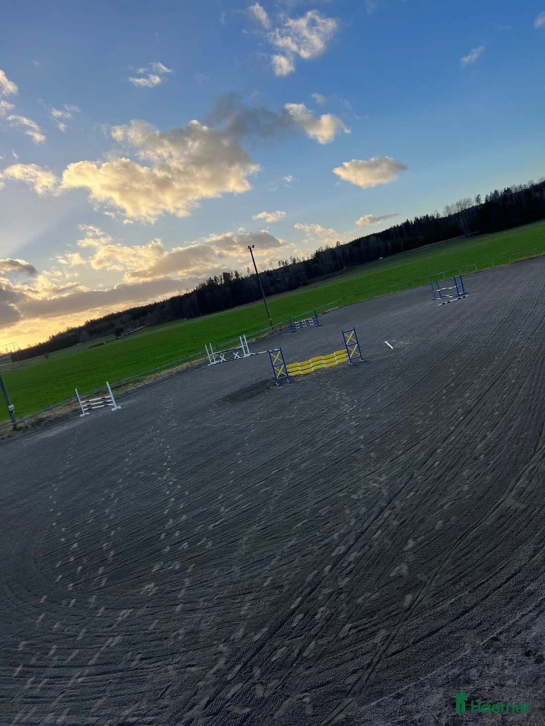  stallplats finnes: Lediga stallplatser Säby Gård  - Annons 2