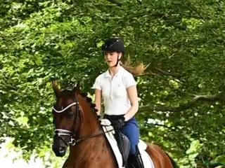 hästar PRE 10 år i Munka-ljungby - Annons 2