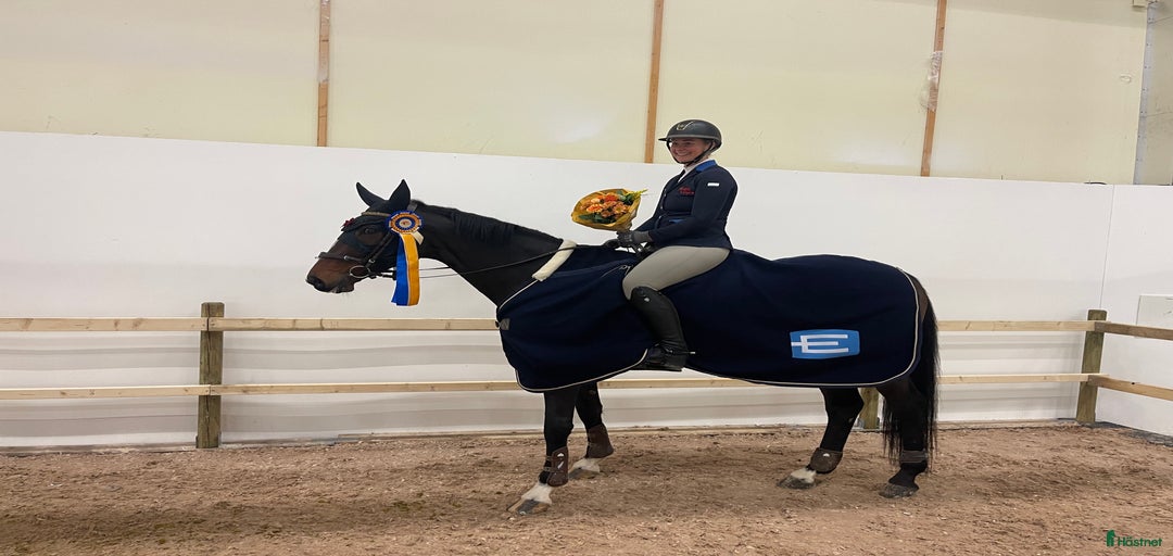 Galleribild {{count}}