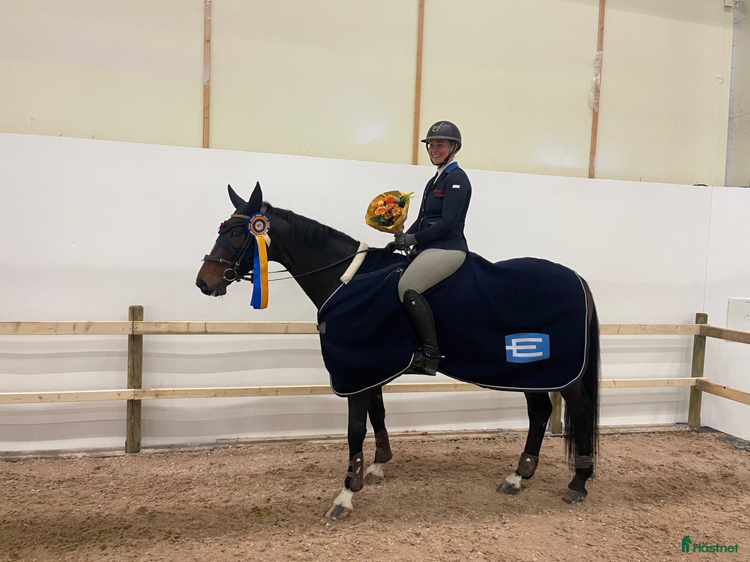 Galleribild {{count}}