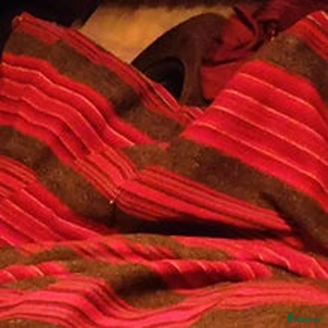 Övrig utrustning övrig utrustning till salu: Vävt fälltäcke i Trollhättan - Annons 1