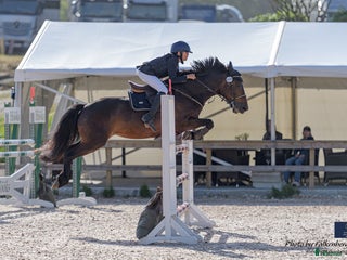 hästar Fantastiska Snapchat i Norrtälje - Annons 19