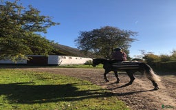  stallplats finnes: Boxplatser lediga utanför Vellinge🙂 i Vellinge - Bild 5