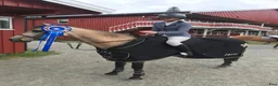 Hoppning hästar till salu: Tävlingsponny i Kungsbacka - Annons 4