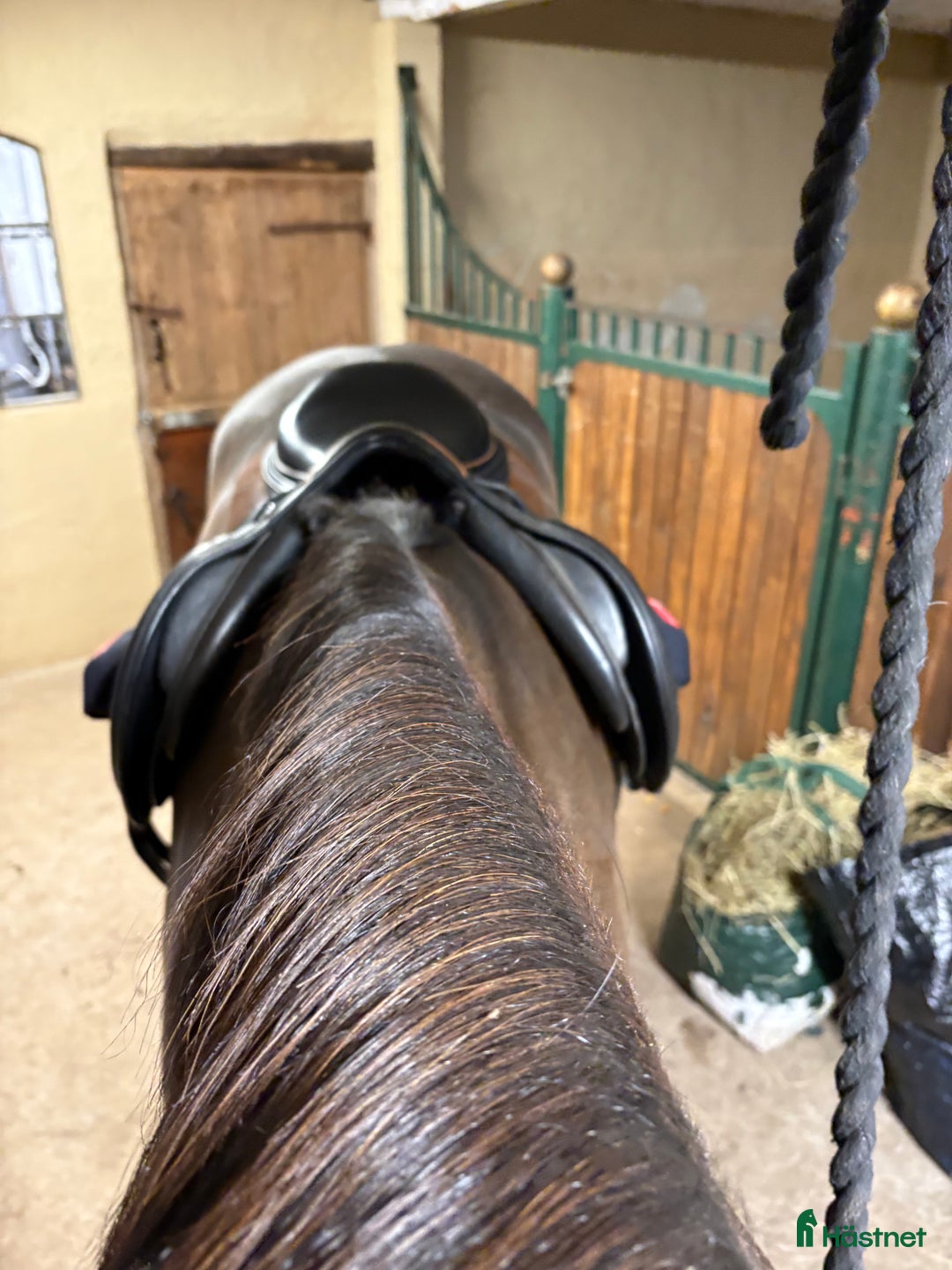 Sadlar hästutrustning till salu: Equipe expression  i Kristianstad - Annons 3