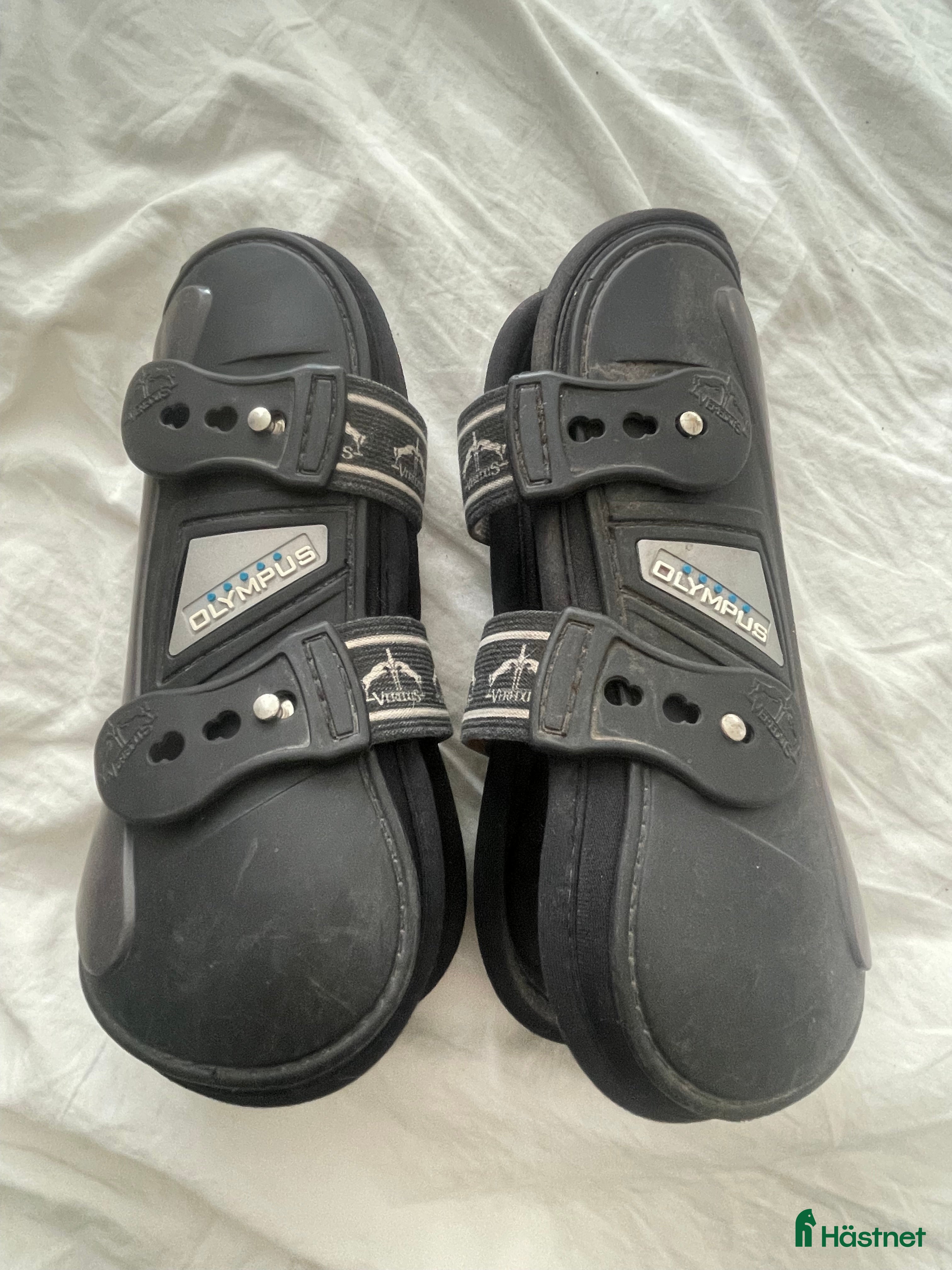 Benskydd hästutrustning till salu: Veredus skydd  - Annons 19