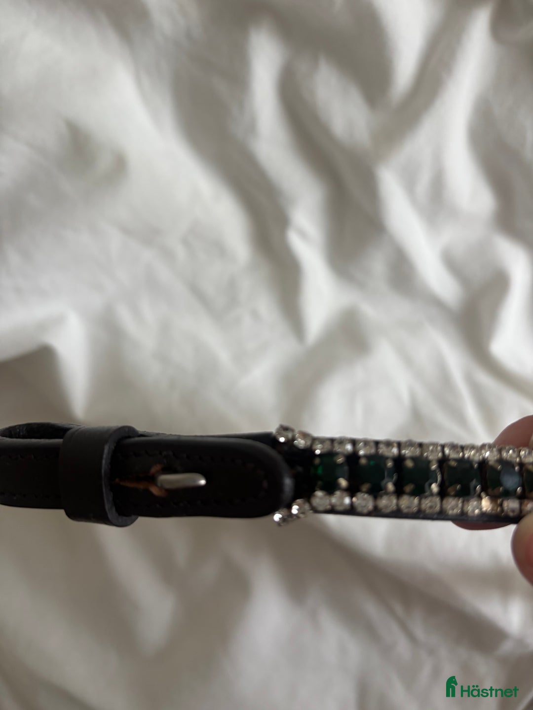 Övrig Hästutrustning hästutrustning till salu: Pannband från Hööks i Saltsjöbaden - Annons 4