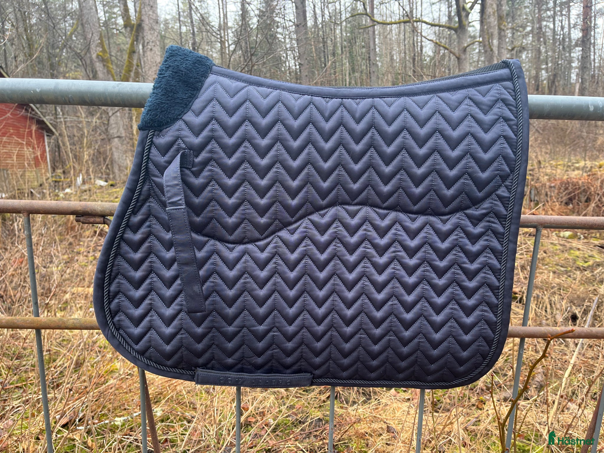 Schabrak & Vojlockar hästutrustning Covalliero dressyrschabrak strl full - Annons 3