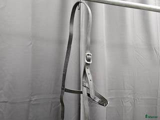 Träns hästutrustning till salu: Kapson, full i Gällivare - Annons 10