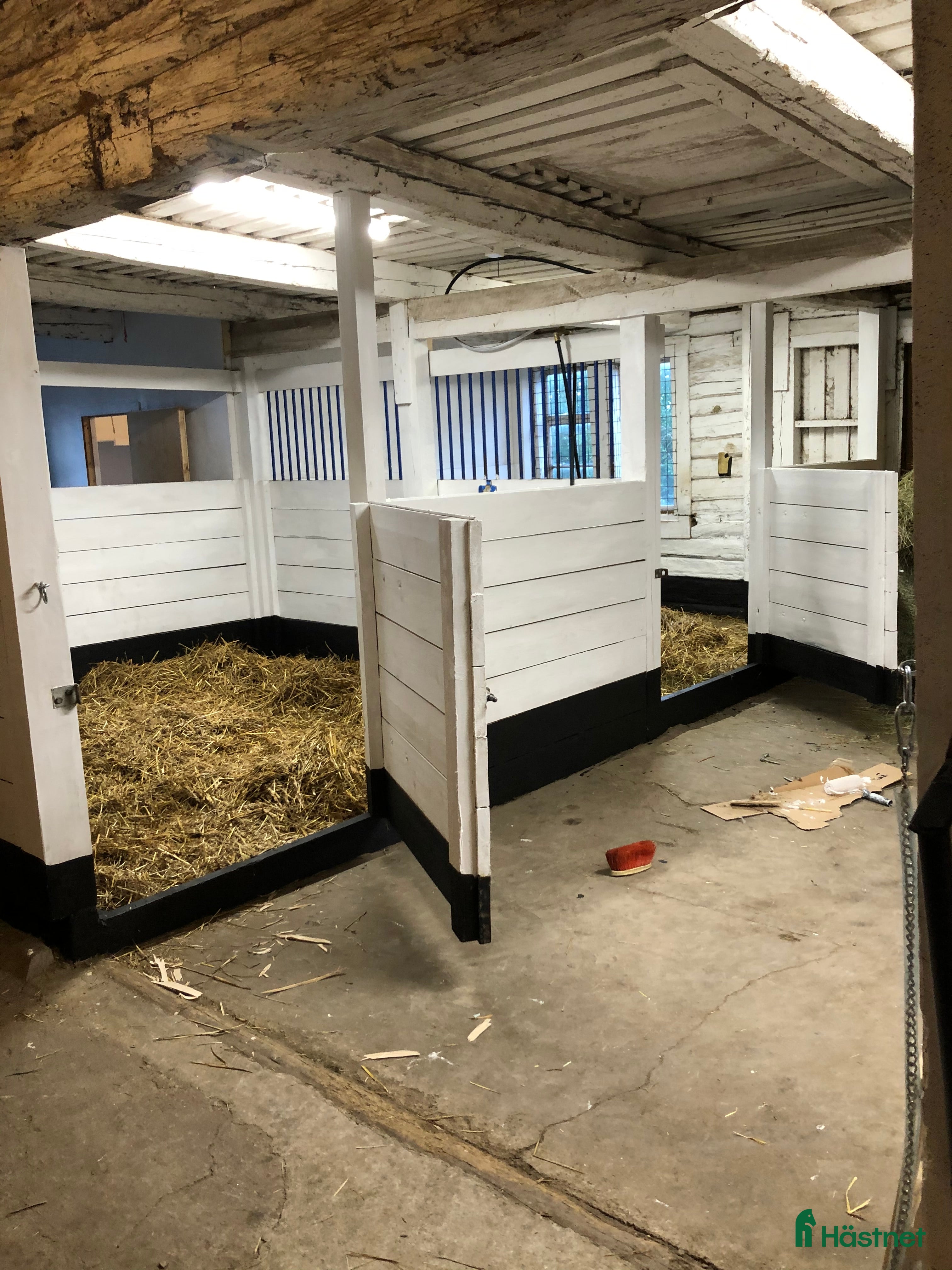  stallplats 1 box plats ledig  - Annons 11