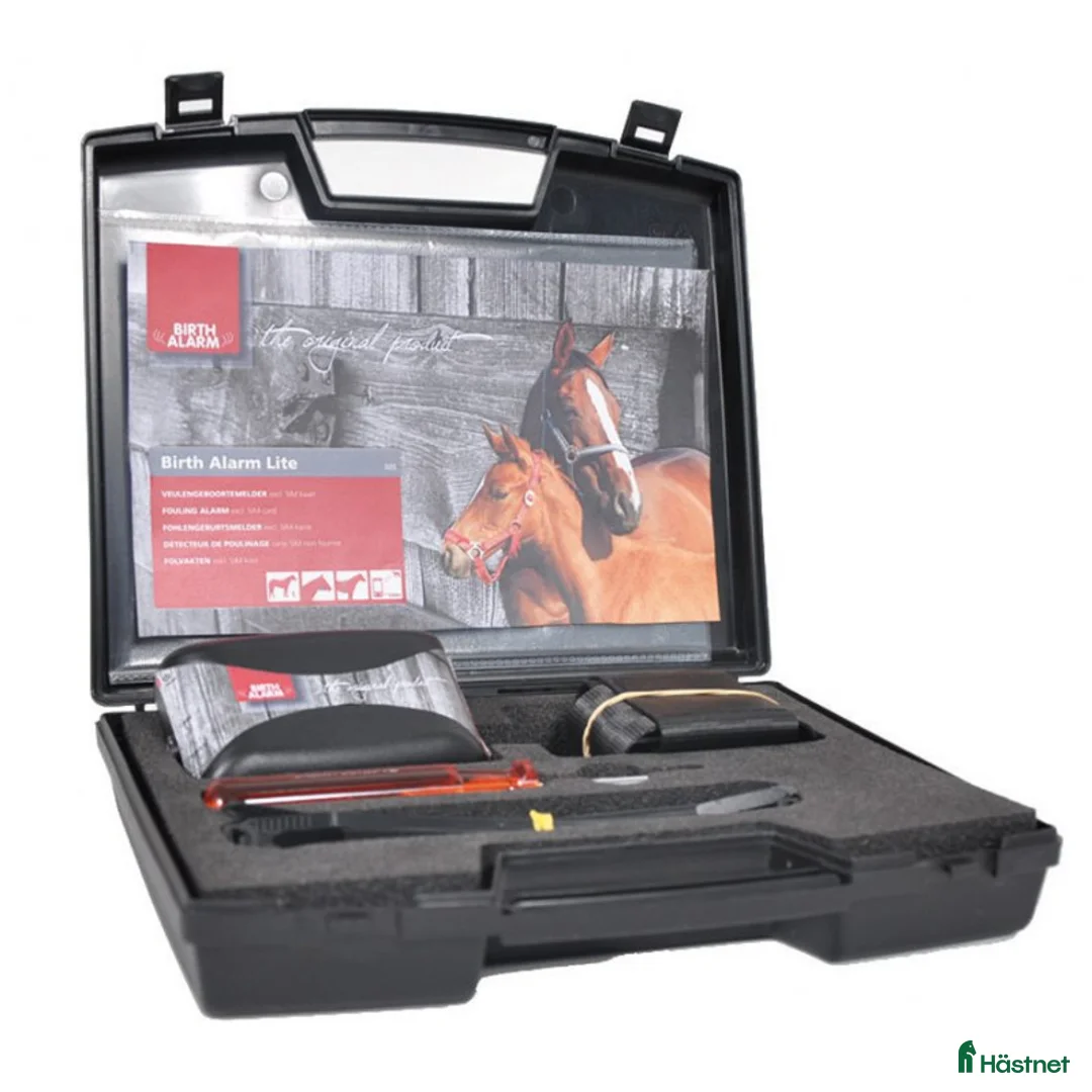 Övrig Hästutrustning hästutrustning till salu: Fölvakt Uthyres - Annons 1