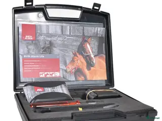 Övrig Hästutrustning hästutrustning Fölvakt Uthyres - Annons 10