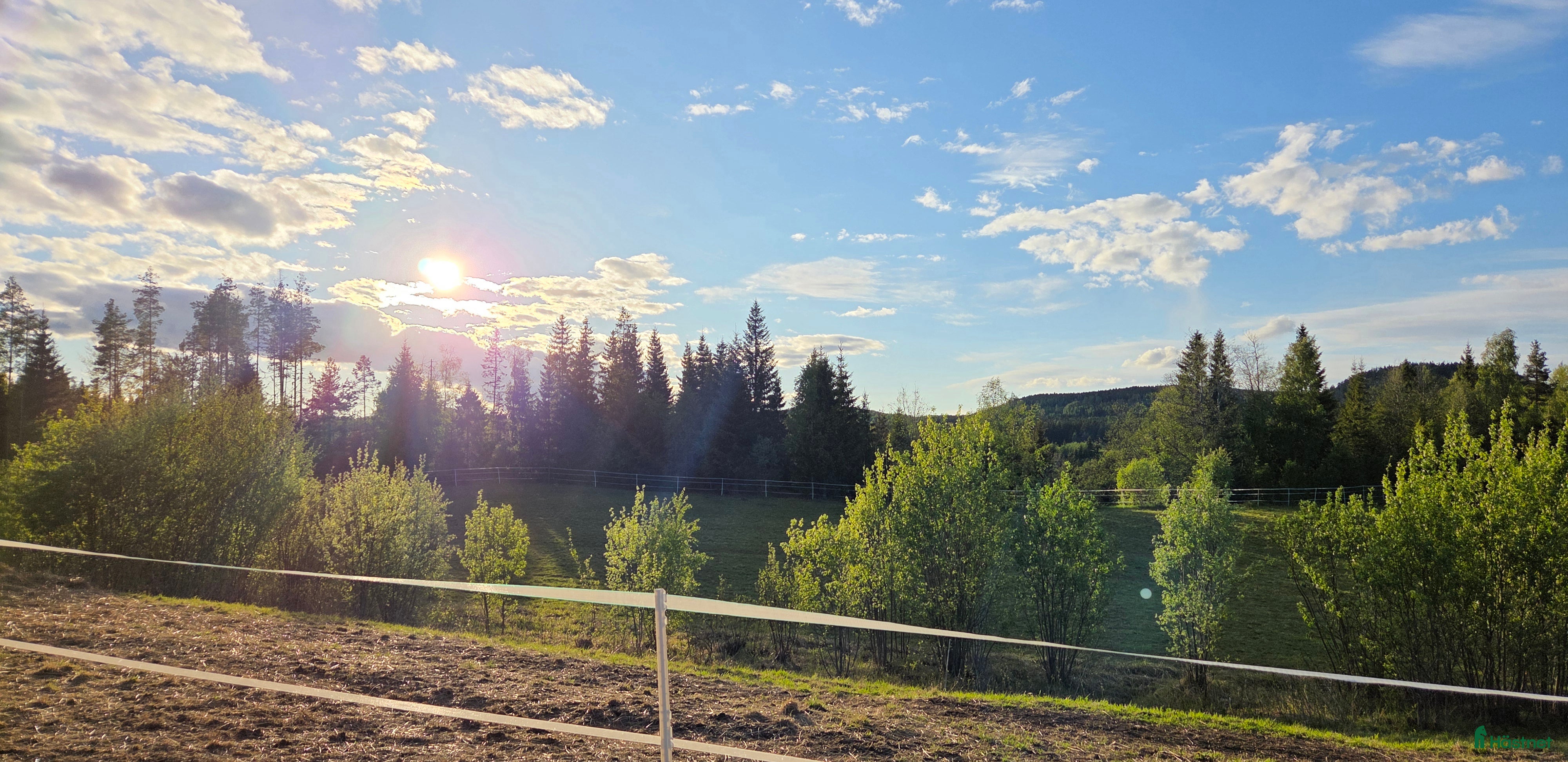  foderhäst Foderhäst sökes till lösdrift i Bollstabruk - Annons 10