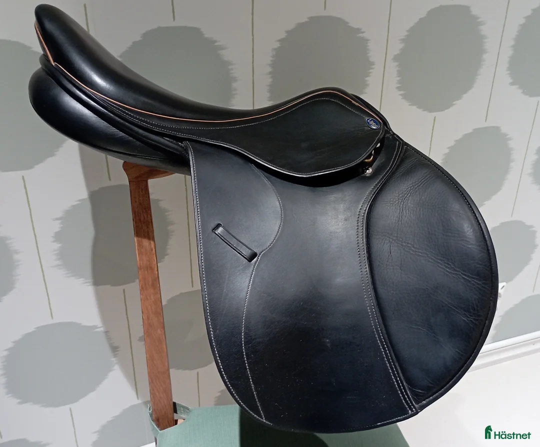 Sadlar hästutrustning till salu: Lippo Fazzino  - Annons 1