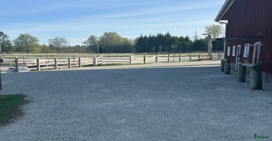  stallplats i Älmhult - Annons 9