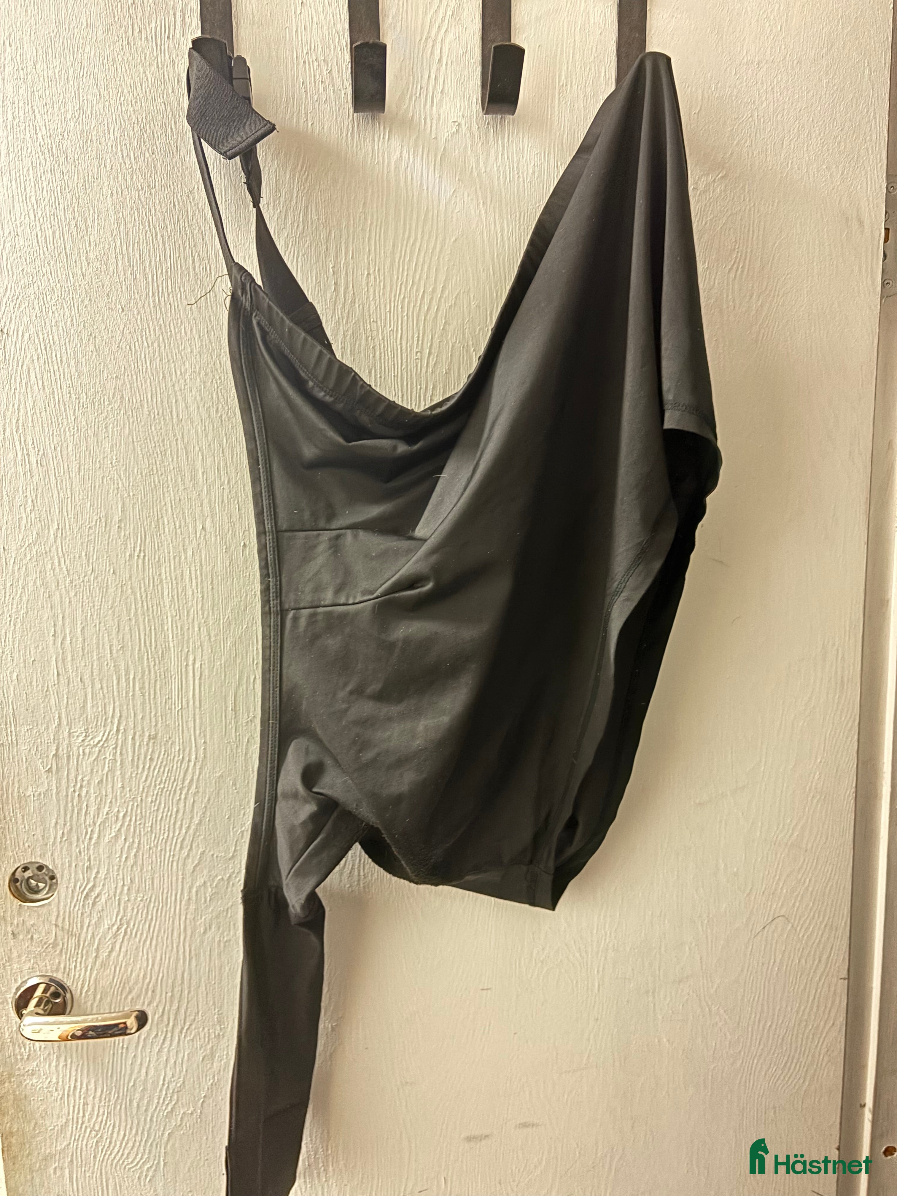 Övrig Hästutrustning hästutrustning Bogskydd i Frösön - Annons 10