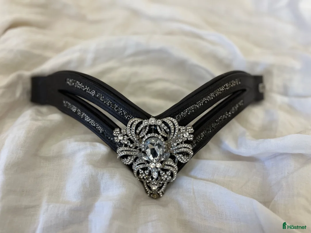 Övrig Hästutrustning hästutrustning till salu: Divoyh pannband  - Annons 2