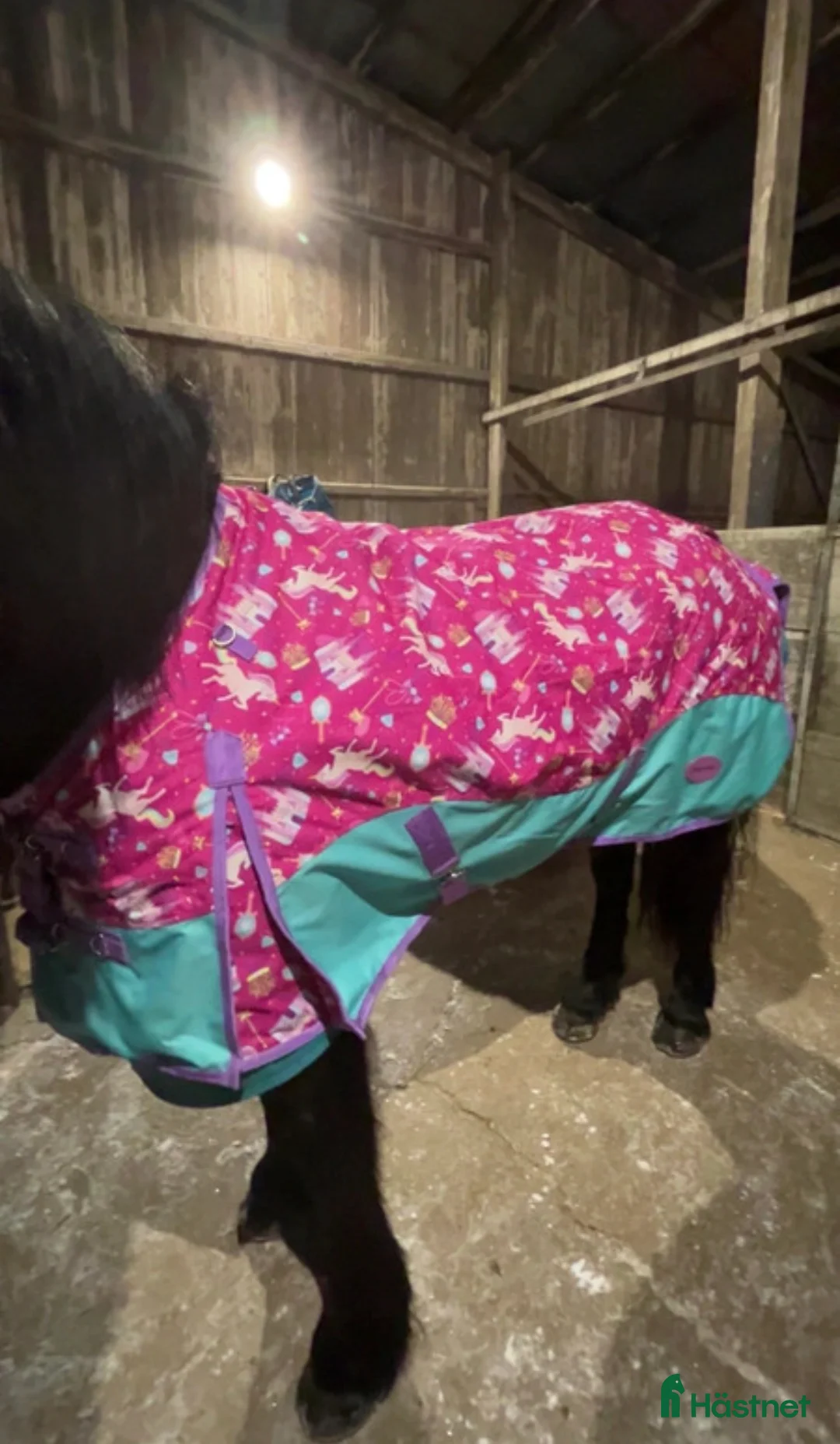 Täcken hästutrustning till salu: Nytt täcke  i Umeå - Annons 2