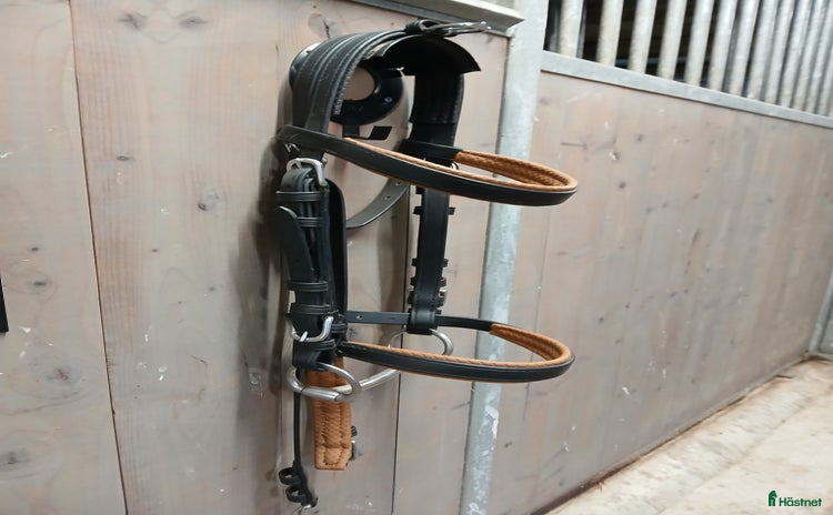 Körselar körning till salu: Huvudlag Ideal stl cob i Södra Sandby - Annons 3