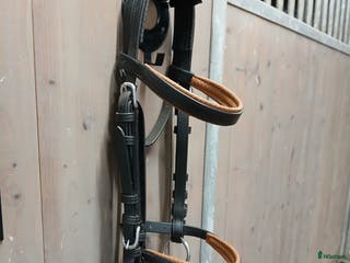 Körselar körning till salu: Huvudlag Ideal stl cob i Södra Sandby - Annons 2