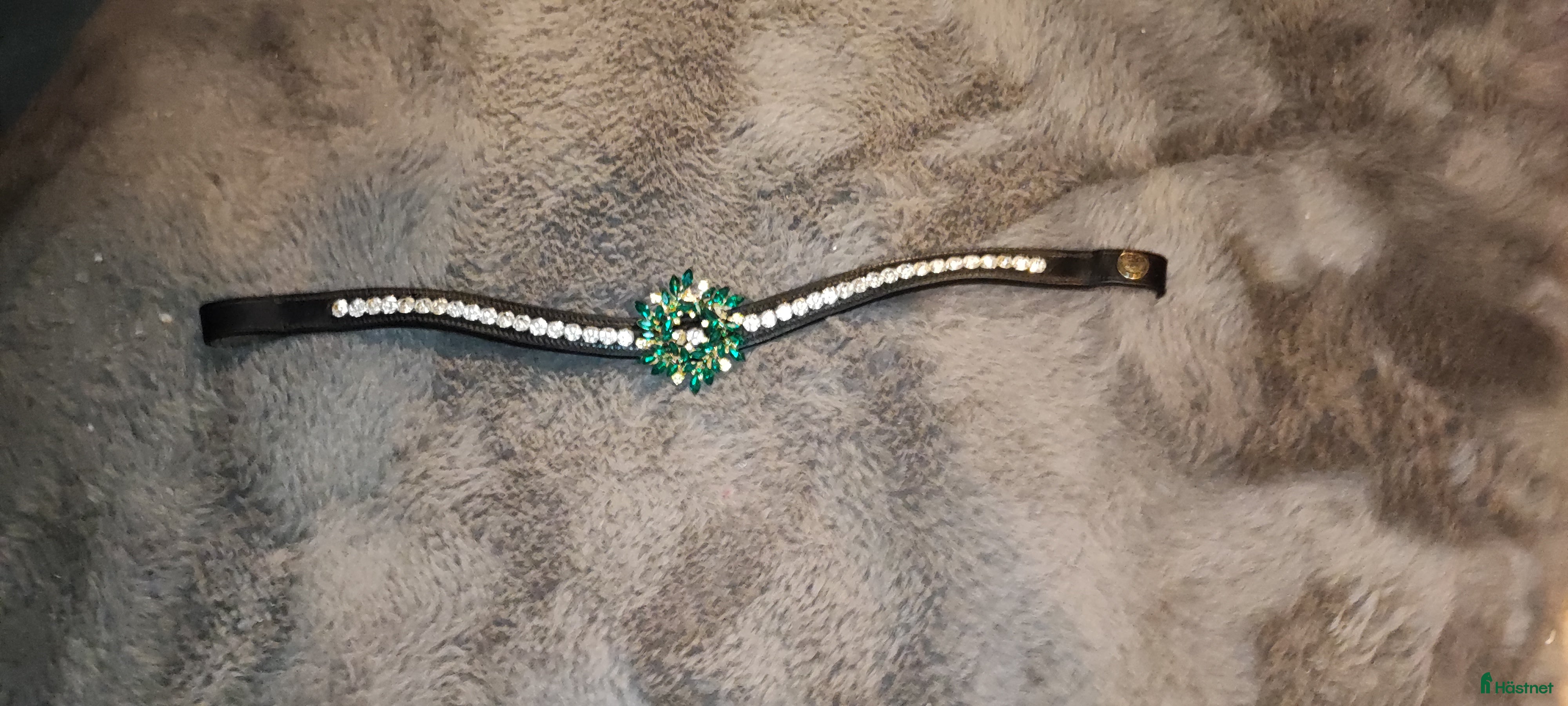 Övrig Hästutrustning hästutrustning Pannband  i Frövi - Annons 20