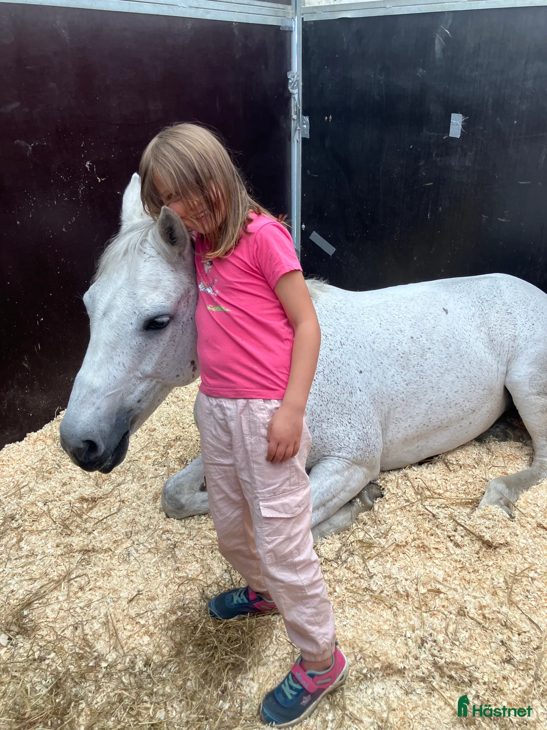 Hoppning hästar till salu: Hoppglad & tävlingsrutinerad ponny  i Hofterup - Annons 7