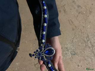 Träns hästutrustning till salu: Fint blått pannband i Västerås - Annons 2