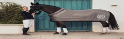 Täcken hästutrustning till salu: Equestrain Stockhom Svettäcke, Es Svettäcke i Trångsund - Annons 1