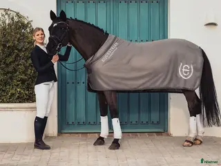 Täcken hästutrustning Equestrain Stockhom Svettäcke, Es Svettäcke i Trångsund - Annons 18