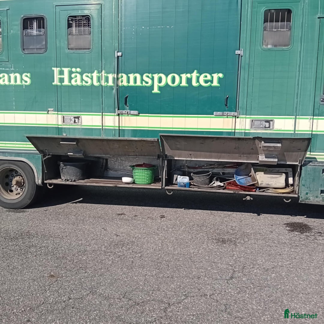 Hästlastbilar  fordon & transport till salu: Scania med flexibel inredning  i Teckomatorp - Annons 11