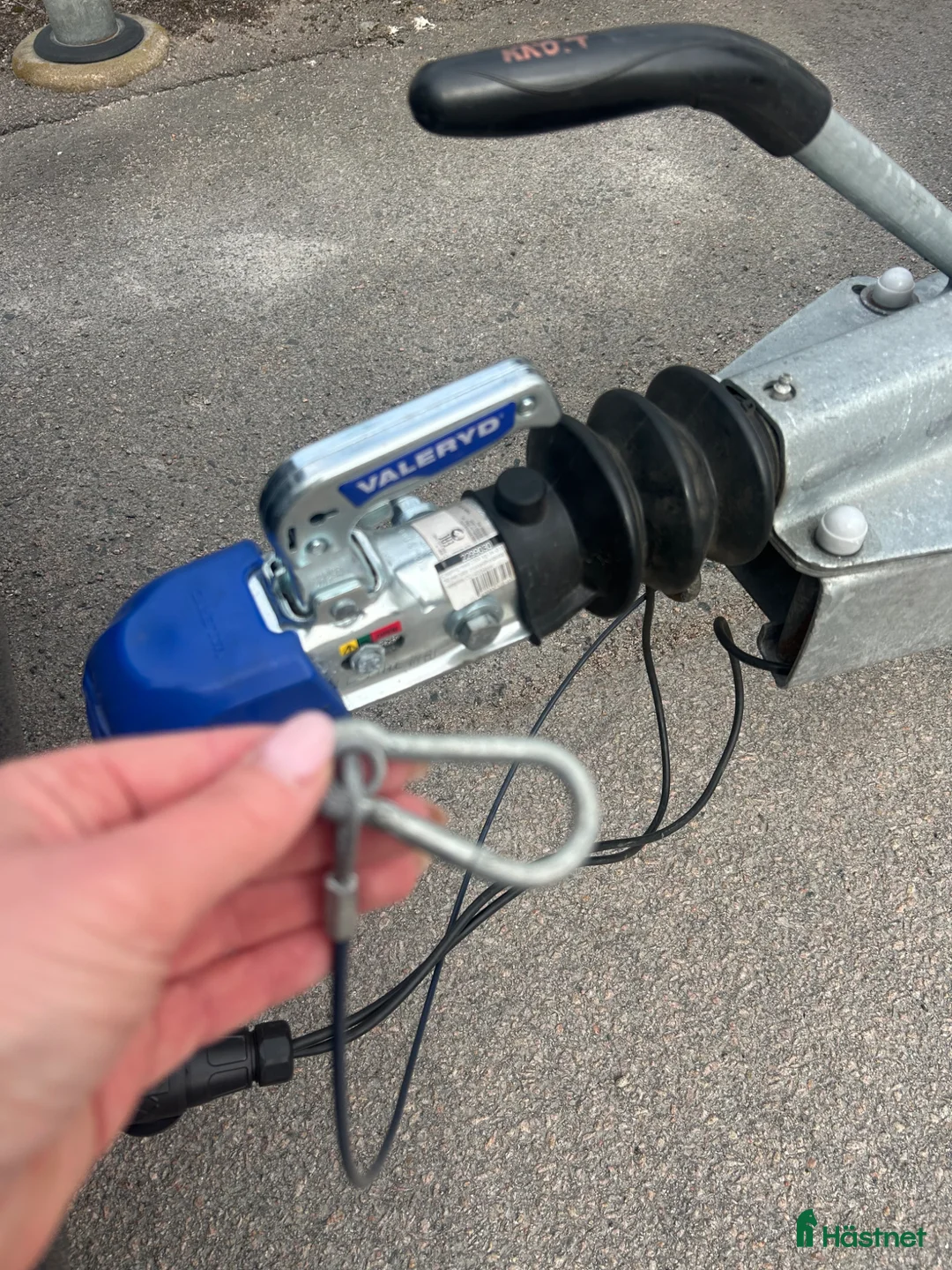 Hästtransporter  fordon & transport till salu: Cheval Liberté Pullman 1,5 hästars 2021  - Annons 10