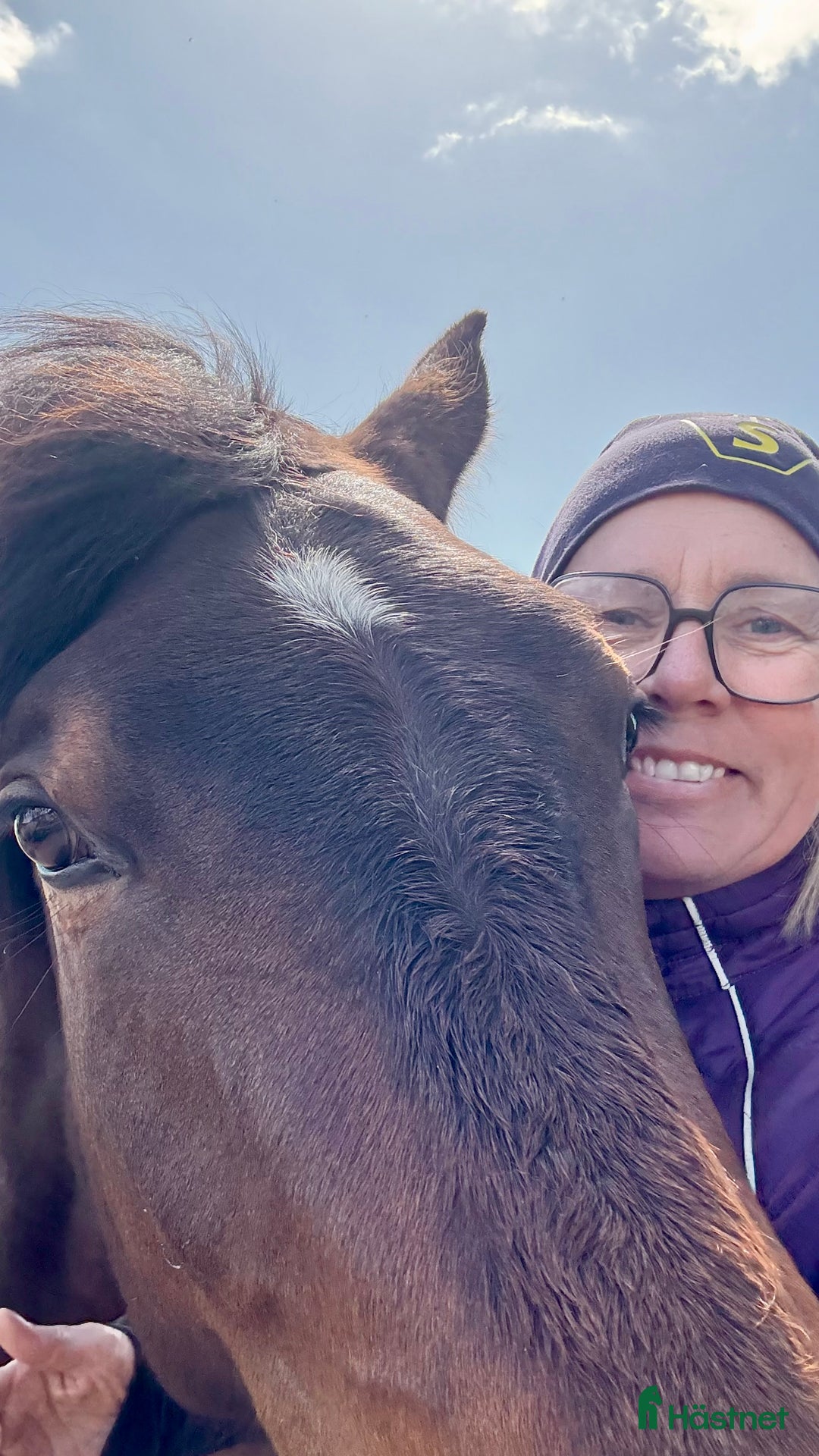 Dressyr hästar till salu: BOKAD: Avelssto dräktig m Hesselhøj D.U i Kalmar - Annons 5