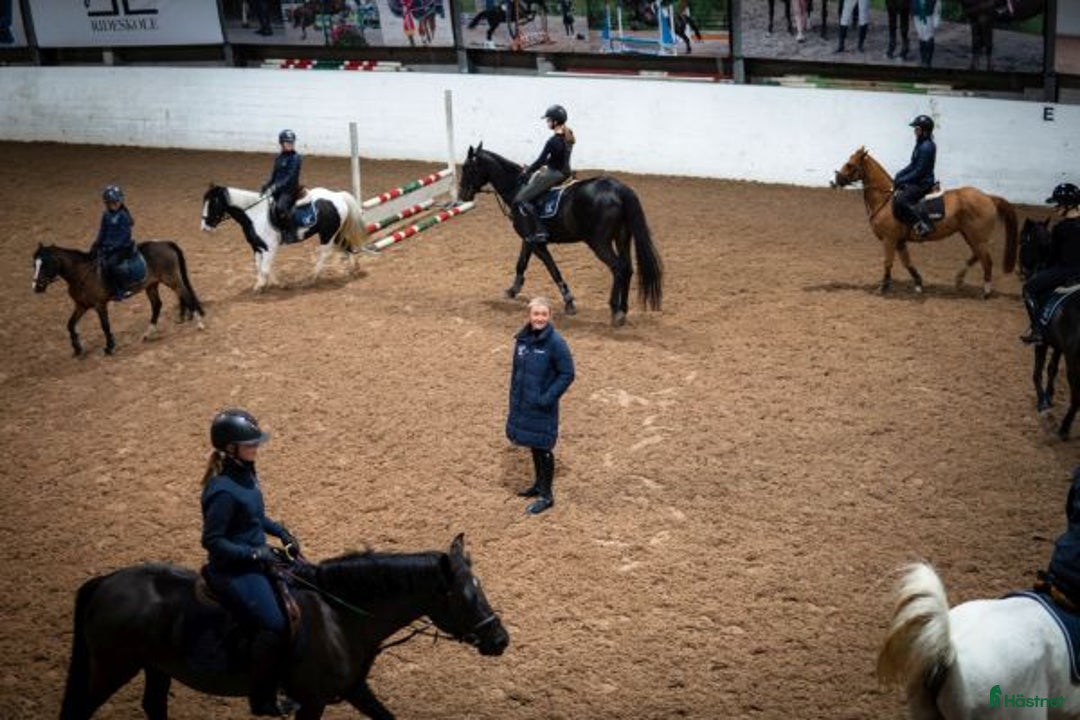  hästjobb finnes: Jobb på en av Norges største rideskoler🐎🇳🇴 - Annons 2