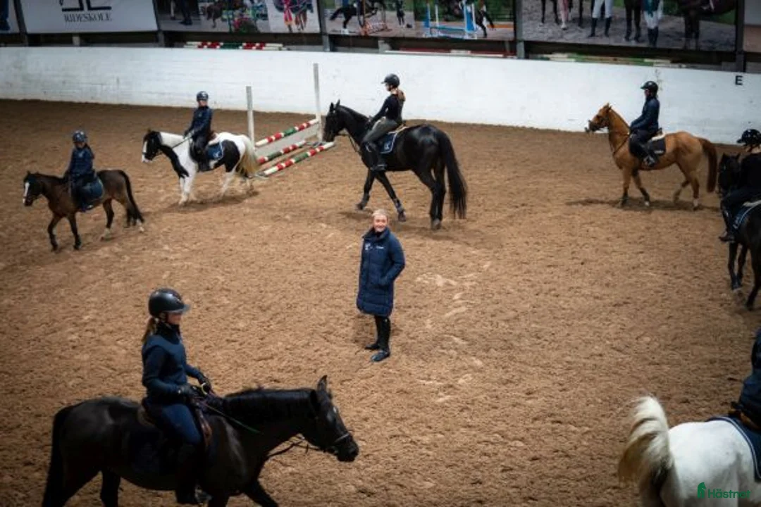  hästjobb finnes: Jobb på en av Norges største rideskoler🐎🇳🇴 - Annons 2
